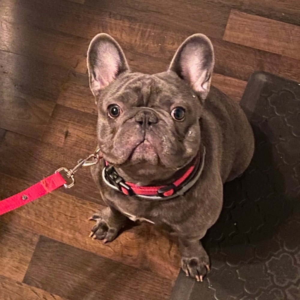 Meet your Posher, Nina